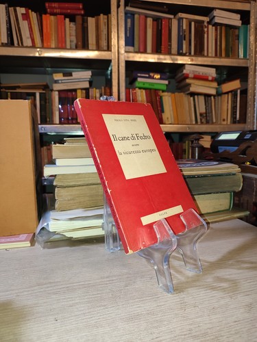 Paola vita finzi cane di - vita-finzi, il