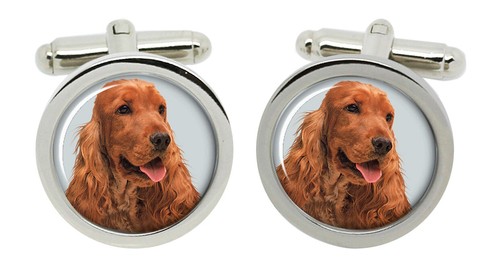 Inglese cocker spaniel gemelli - cocker,