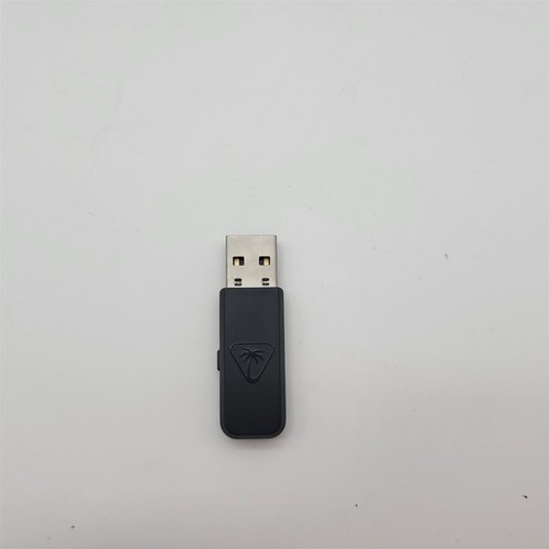 Dongle per turtle - dongle, beach