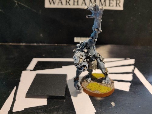 Warhammer fantasy vecchio - warhammer,