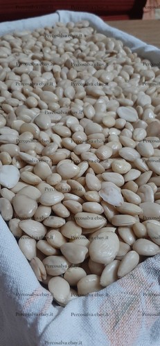 Mandorle pelate bianche - mandorle,