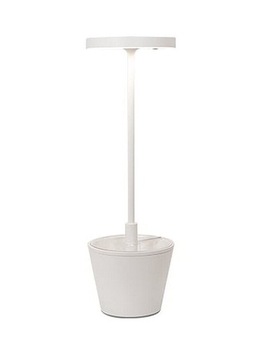 Poldina reverso lampada - lampada, da