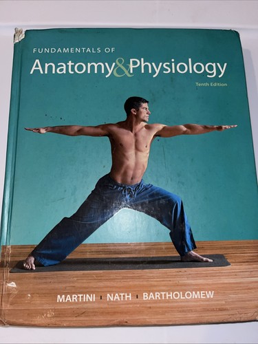 Fundamentals anatomy - of, &