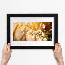 Arte da parete con cornice in