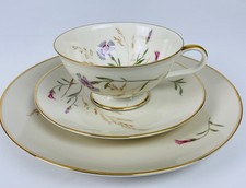 Hutschenreuther Selb Bavaria