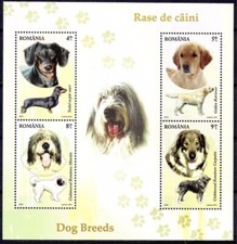 Romania 2012 Cani Animali Animali Teckel/Retriever/Pastore Mioritico Rumeno Cani
