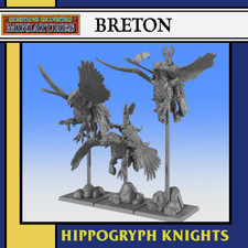 Breton Hippogryph Knight