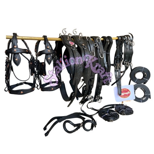 Coppia imbracature guida