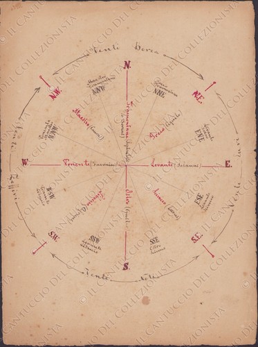 Disegno rosa dei venti punti - dei,