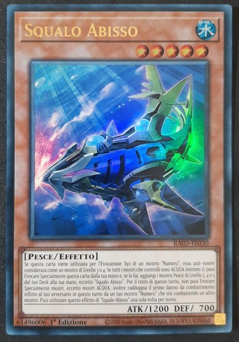 Squalo abisso ultra rara - squalo,