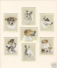 THE JACK RUSSELL - Mounted