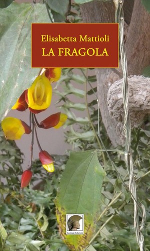 Libro elisabetta mattioli - mattioli,