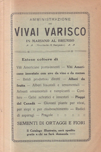 W21 vivai varisco mariano - ,