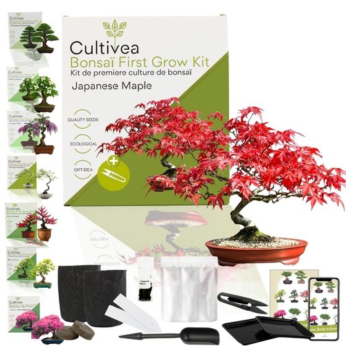 Cultivea kit first - kit,