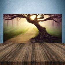 Paraspruzzi Cucina in Vetro