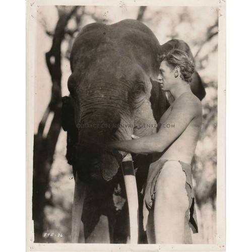 Tarzan homme singe - tarzan,