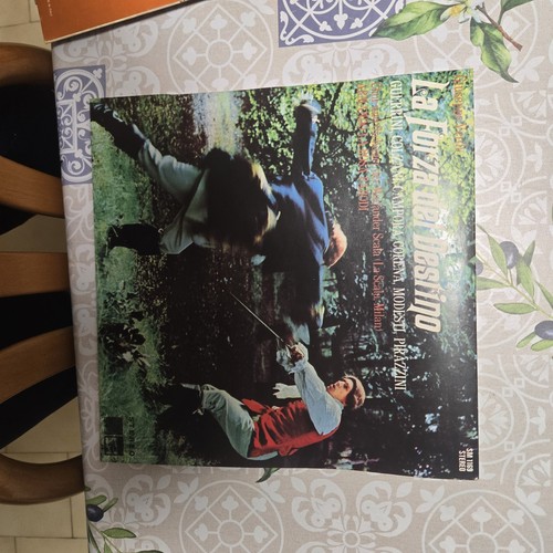 Disco vinile forza del - in,
