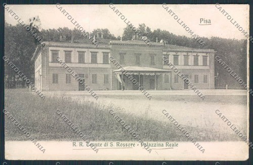 Pisa san rossore cartolina - rossore,