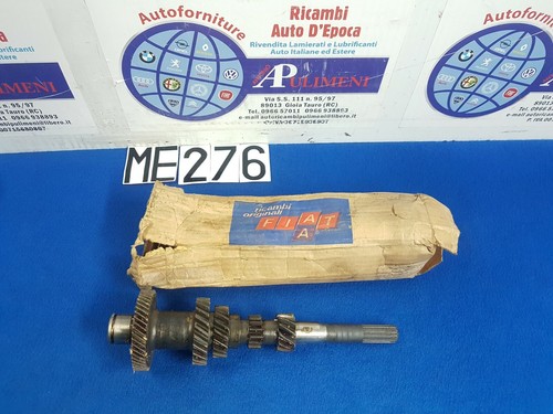 4308449 albero primario - albero,