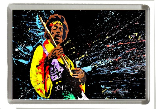 Jimi hendrix fridge - jimi,
