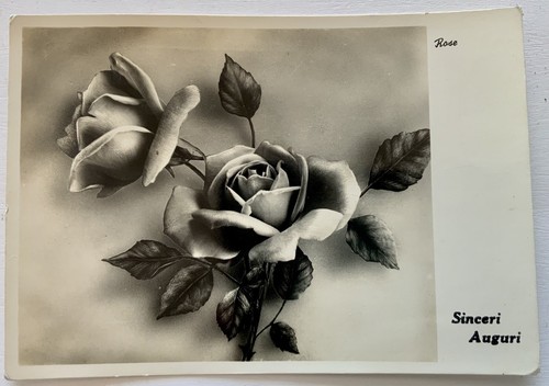 Cartolina rose con italia - cartolina, al