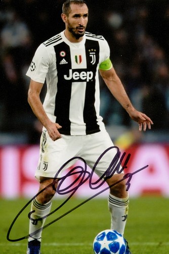 Giorgio chiellini foto 6x4 - giorgio,