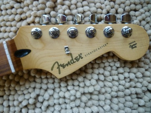 Fender player stratocaster pau - fender,