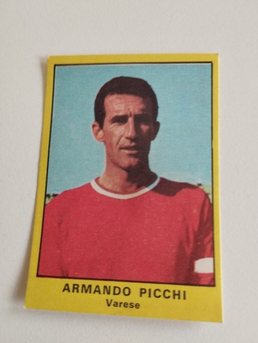 Rara picchi - !!!,
