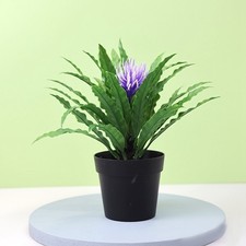 Vaso bonsai verde ornamento