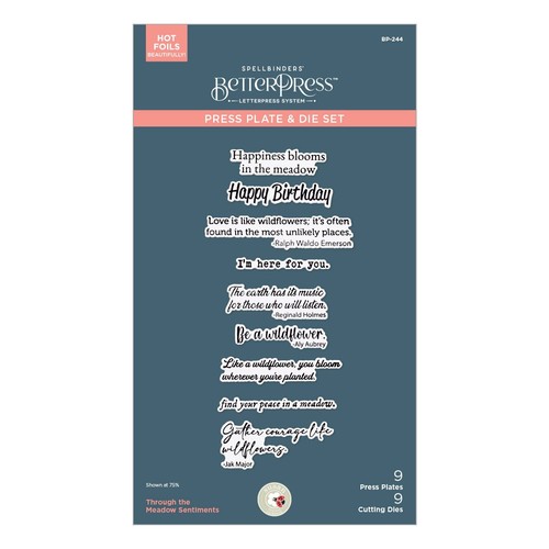 Spellbinders betterpress set - betterpress,