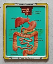 Placca metallo IL CORPO UMANO