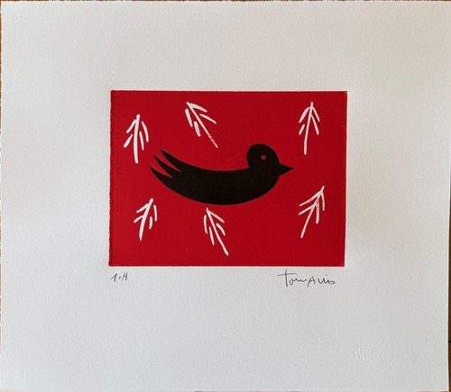 Giuliano tomaino acquaforte - giuliano,