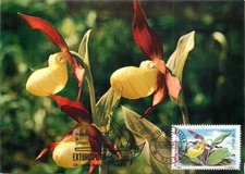 E0046 Maxi card Romania fiori