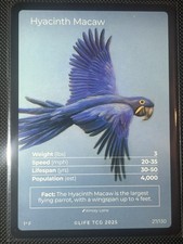 Life TCG - Uccellini - Ara