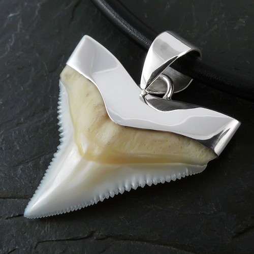 Ciondolo catena vero - , dente