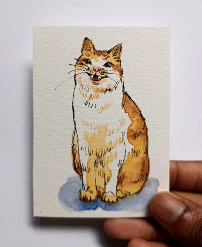 Aceo quadro acquerello - quadro,