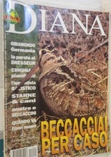 DIANA 24 2001 Beccacciai