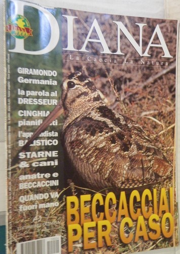 Diana 2001 beccacciai - diana, 24