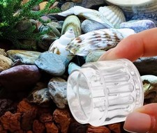 Trappola per Planarie e Vermi