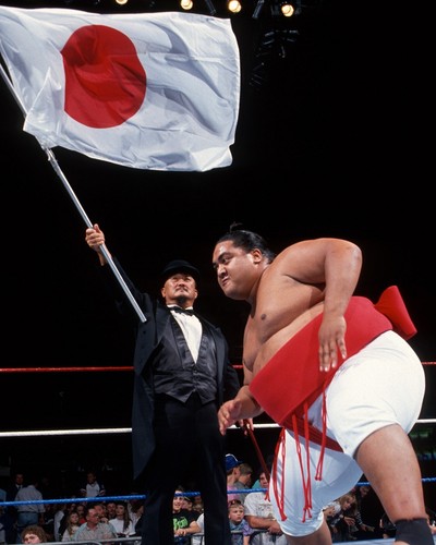 Fuji yokozuna wrestler - &,