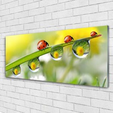 Quadri su Vetro Acrillico