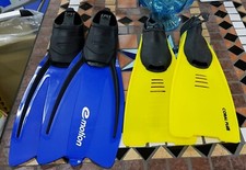 PINNE MARE COLORI ASSORTITI