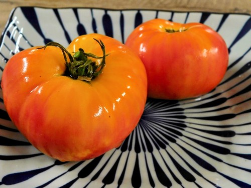 Pomodoro minusinsky oranzhevy - pomodoro,