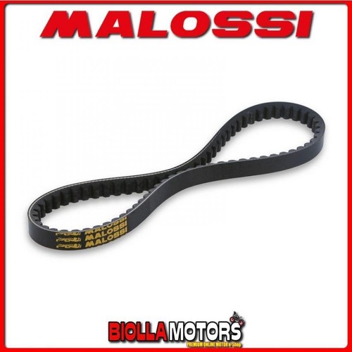 6115822 cinghia variatore - 6115822,