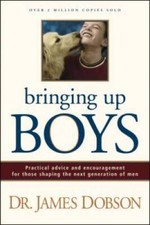 Bringing boys paperback - bringing,
