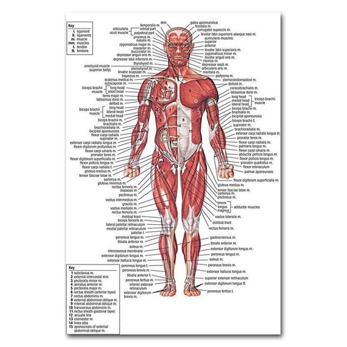 82447 poster stampa parete - 82447,