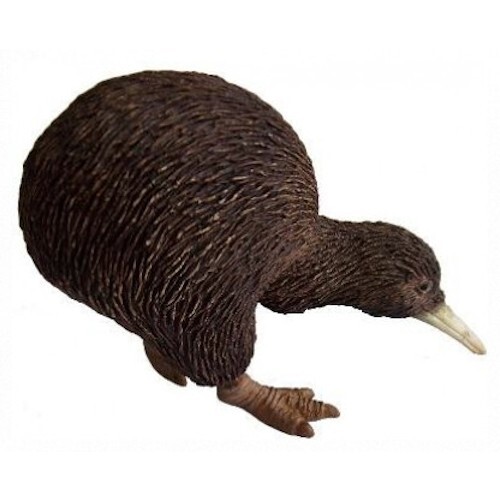 Uccellini australiani kiwi - 9, australiani: