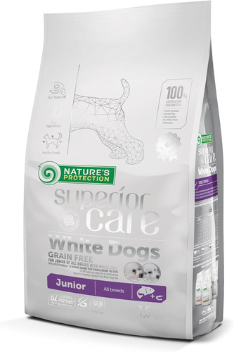 Cani bianchi cura superiore - cani,