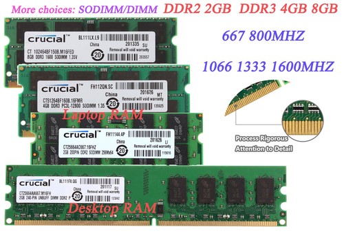 Crucial 2 gb pc5300 - crucial, 8