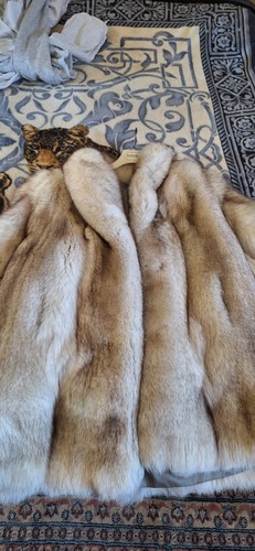 Pelliccia volpe bianca - volpe,